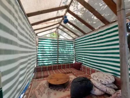 1 1 Detached House For Rent With Canal Zero, Garden, Fully Furnished In Dalyan, Muğla