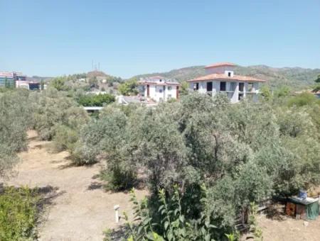 1 1 Furnished Apartment For Rent In Ortaca Cumhuriyet