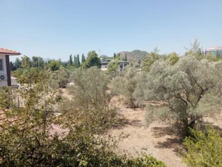 1 1 Furnished Apartment For Rent In Ortaca Cumhuriyet