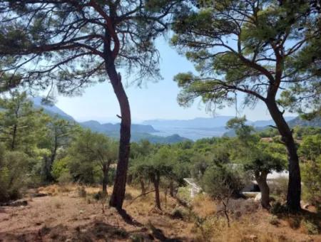 1.361 M² Investment Land With Lake And Sea View For Sale In Muğla Ortaca Gökbel