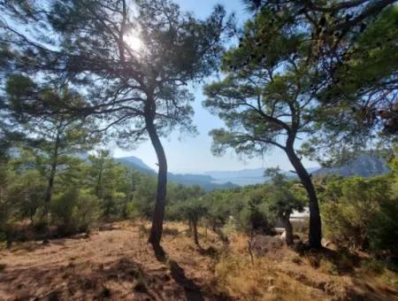 1.361 M² Investment Land With Lake And Sea View For Sale In Muğla Ortaca Gökbel