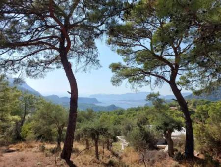 1.361 M² Investment Land With Lake And Sea View For Sale In Muğla Ortaca Gökbel