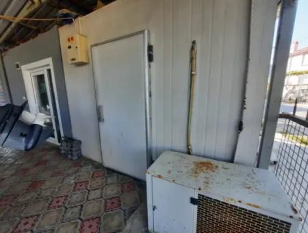 12 Ton Cold Storage For Sale In Muğla Ortaca