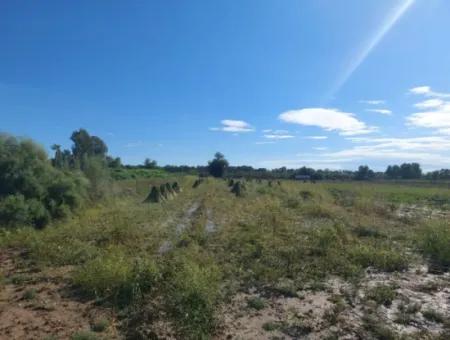 500 M2 2 Parcel Land For Sale In Ortaca Fevziye