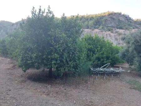1.300 M2 Detached 250M2 Residential Zoned Land For Sale In Muğla, Ortaca, Karadonlar