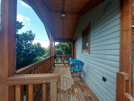 Muğla Ortaca Gökbel Doga With Swimming Pool 1 1 Wooden Furnished Bungalow For Rent