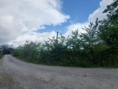 5.000 M2 Land With 150 M2 Construction Right Is For Sale In Muğla Dalyan