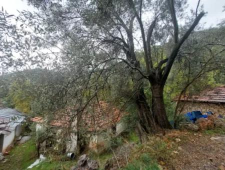 Village House With Title Deed For Sale In Nature In Muğla Fethiye İnlice