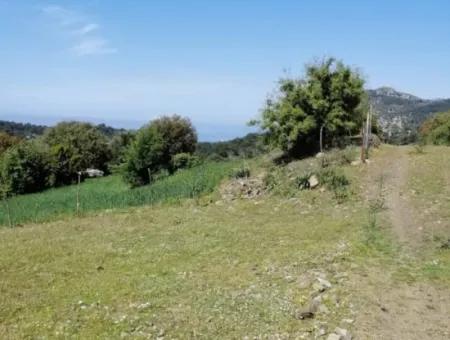 Muğla Ortaca Gökbelde 3200 M2 Shared Land For Sale
