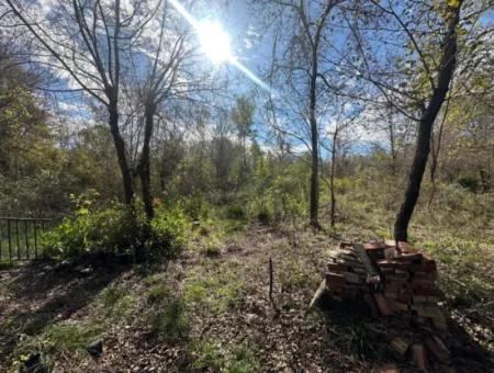 12 000 M2 Field For Sale In Ortaca Yeşilyurt