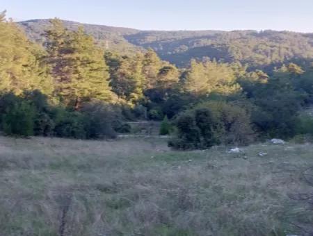 Muğla Ula Kızılyaka 790M2 Treasury Land Possession Right Will Be Transferred Or Vehicle Will Be Exchanged