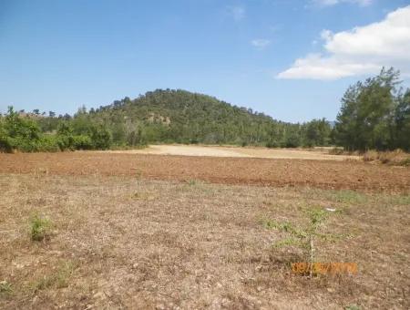 In Beyoba Of Fertile Land For Sale Bargain