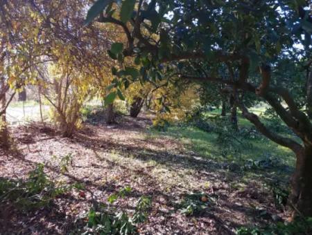 In Ortaca Okçular, A 1000 M2 Detached Land Is For Sale With 250 M2 Construction Rights Or Exchanged For 2-3 Flats From Ortaca