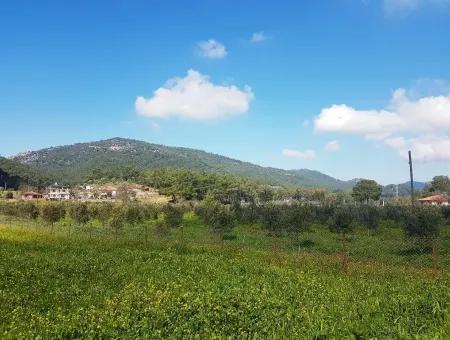 Land For Sale In Dalaman Honor Kircagedire