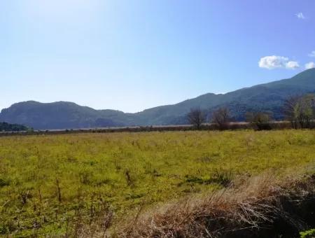 Farm For Sale Bargain In Dalyan