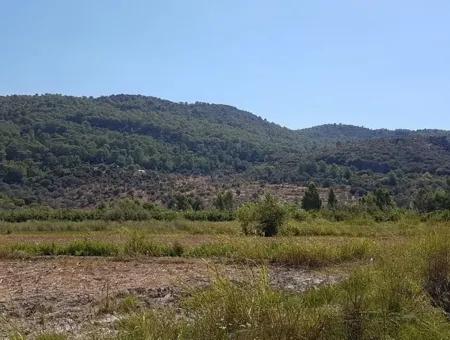 Fertile Land For Sale In Famagusta Bargain