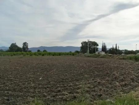 Also Suitable For Investment 31,175 M2 Land For Sale In Koycegiz Up