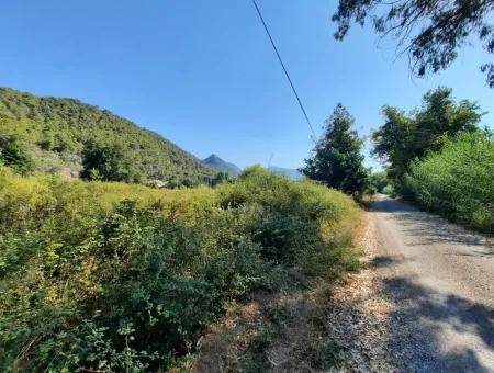 Vineyard Garden Zoning Land For Sale In Gocek Inlice