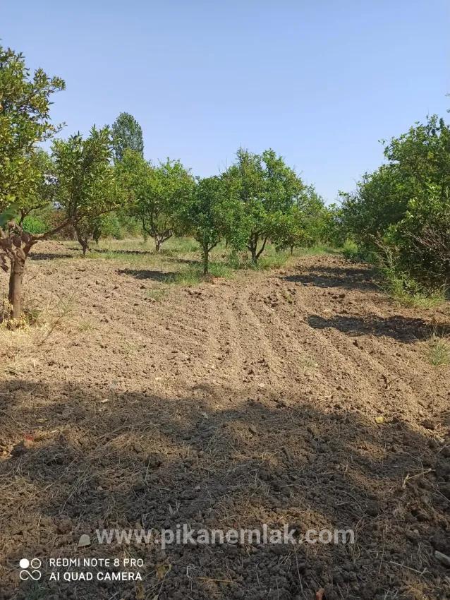 Для продажи Поле в Köyceğiz Köyceğiz - Под Поле застройку - 2.346 m²