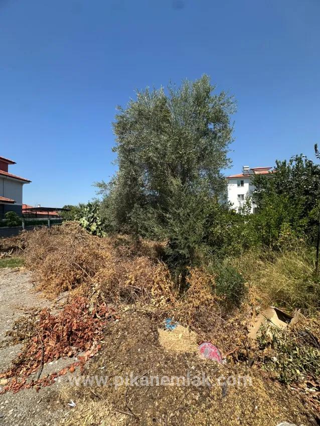 Для продажи Сюжет в Çaylı Ortaca - Под Жилье застройку - 353 m²
