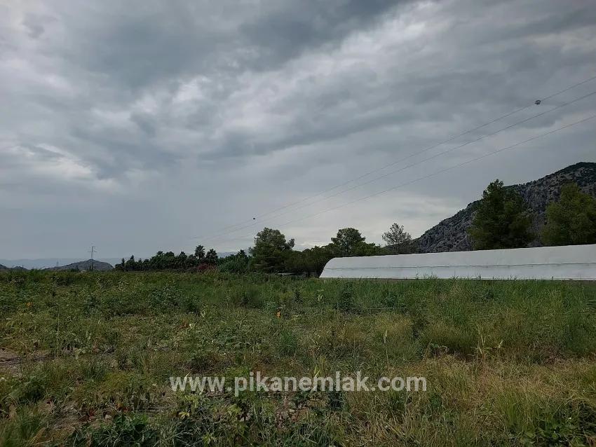 Для продажи Земля в Dalyan Ortaca - Под Поле застройку - 3.000 m²
