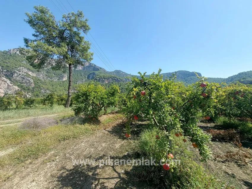 Для продажи Поле в Dalyan Ortaca - Под Поле застройку - 4.500 m²