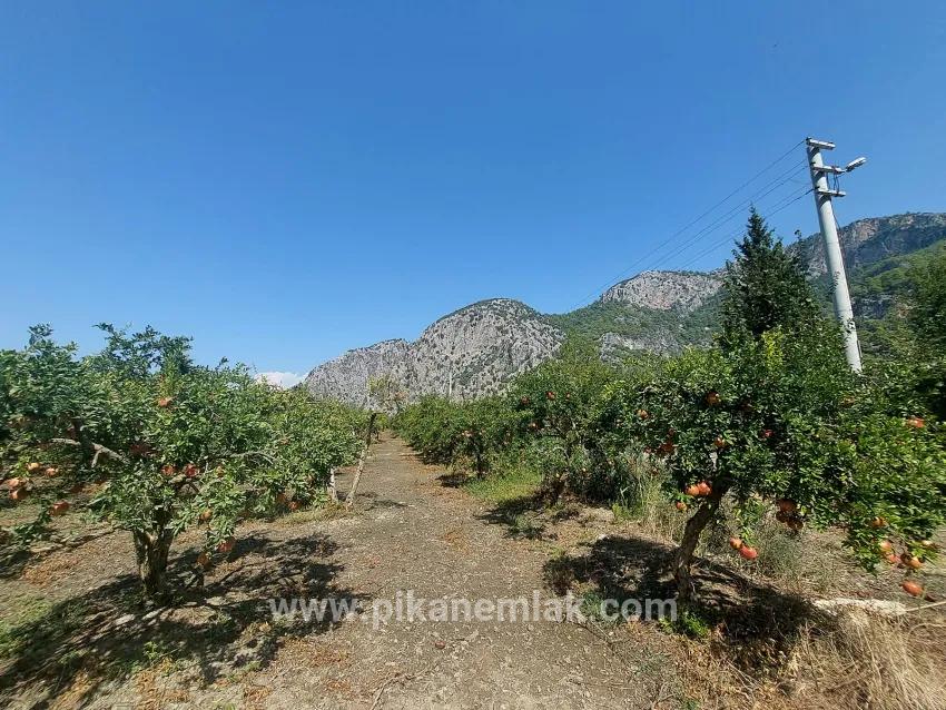Для продажи Поле в Dalyan Ortaca - Под Поле застройку - 4.500 m²