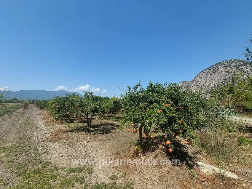 Для продажи Поле в Dalyan Ortaca - Под Поле застройку - 4.500 m²