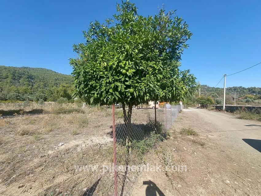 Для продажи Земля в Çandır Köyceğiz - Под Поле застройку - 1.000 m²