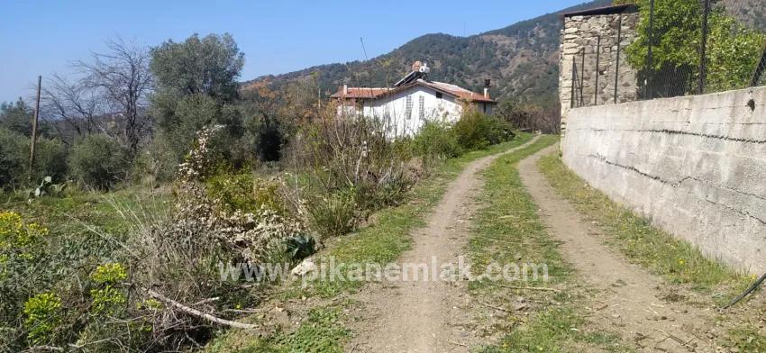 Для продажи Виноградник и сад в Eldirek Fethiye - Под Виноградник и сад застройку - 600 m²