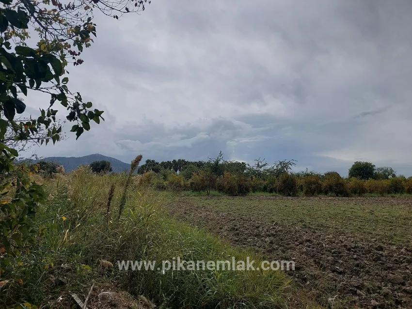Для продажи Поле в Dalyan Ortaca - Под Поле застройку - 7.224 m²