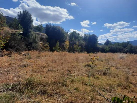 В Çameli Kızılyaka на отдельном участке 5 000 M2 дом 2+1 и стойло 200 M2 продается