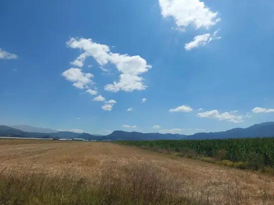 в Burdur Tefenni Yuva 5.900 m² на нулевом расстоянии от главной дороги отдельный, с титульным документом участок продаётся