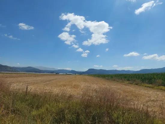 в Burdur Tefenni Yuva 5.900 m² на нулевом расстоянии от главной дороги отдельный, с титульным документом участок продаётся