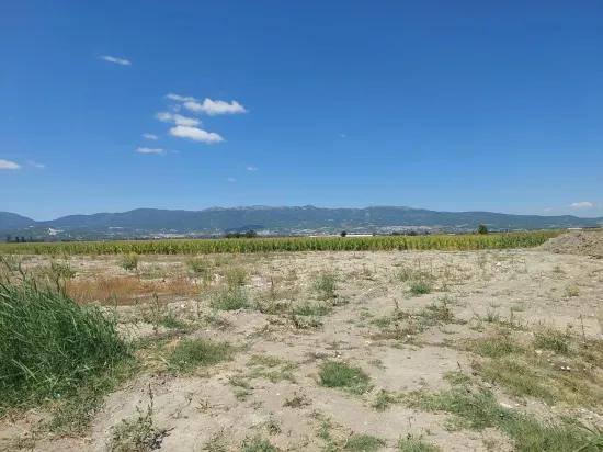 в Burdur Tefenni Yuva 5.900 m² на нулевом расстоянии от главной дороги отдельный, с титульным документом участок продаётся