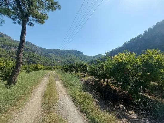 Muğla, в Dalyan с горным и природным видом 4 500 m2 отдельный сад граната продаётся