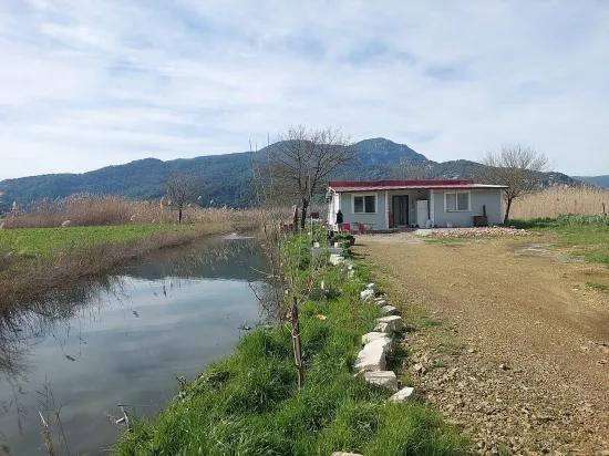 в Muğla Dalyan 1.000 m2 зарегистрированная земля, и 150 m2 2+1 деревенский дом на продажу, с квартирой из Ortaca.