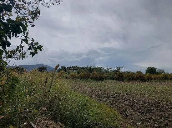 в Muğla Dalyan 7 224 m2 отдельный участок продаётся. Или из Ortaca квартира может быть обменена
