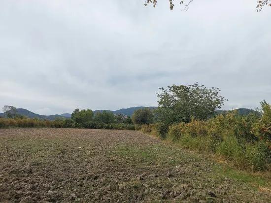 в Muğla Dalyan 7 224 m2 отдельный участок продаётся. Или из Ortaca квартира может быть обменена