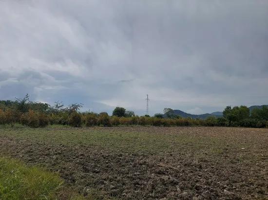 в Muğla Dalyan 7 224 m2 отдельный участок продаётся. Или из Ortaca квартира может быть обменена