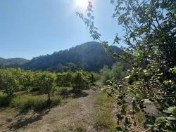 Для продажи Поле в Dalyan Ortaca - Под Поле застройку - 4.500 m²