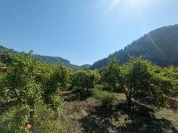 Для продажи Поле в Dalyan Ortaca - Под Поле застройку - 4.500 m²