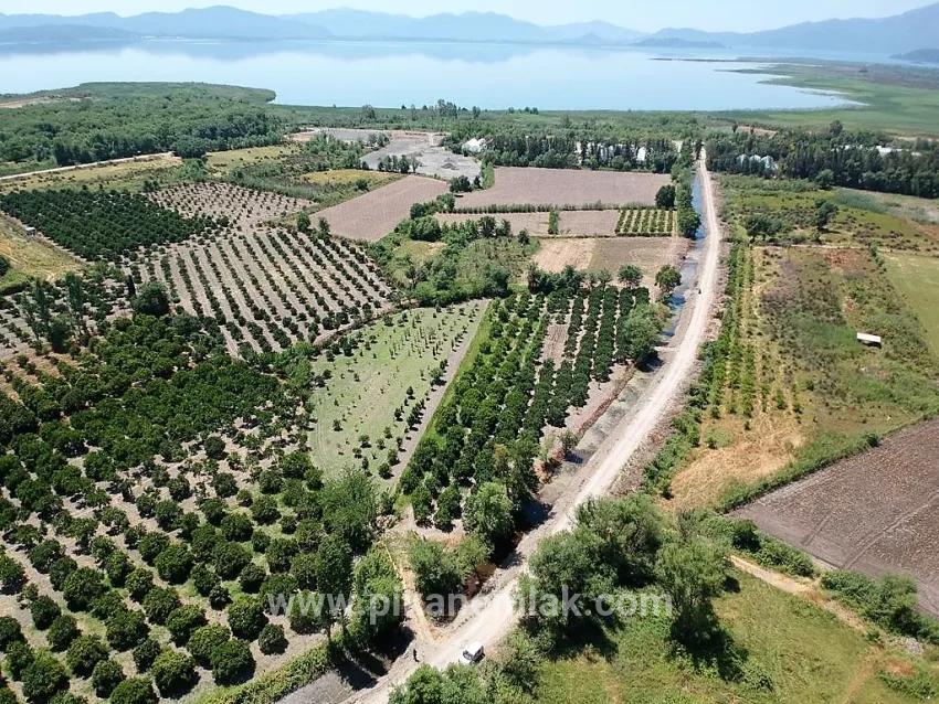 Для Продажи Поле в Toparlar Köyceğiz - Под Поле застройку - 2.650 m²