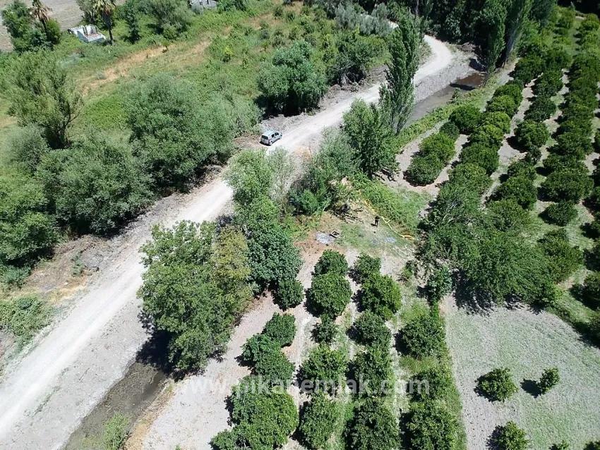 Для Продажи Поле в Toparlar Köyceğiz - Под Поле застройку - 2.650 m²