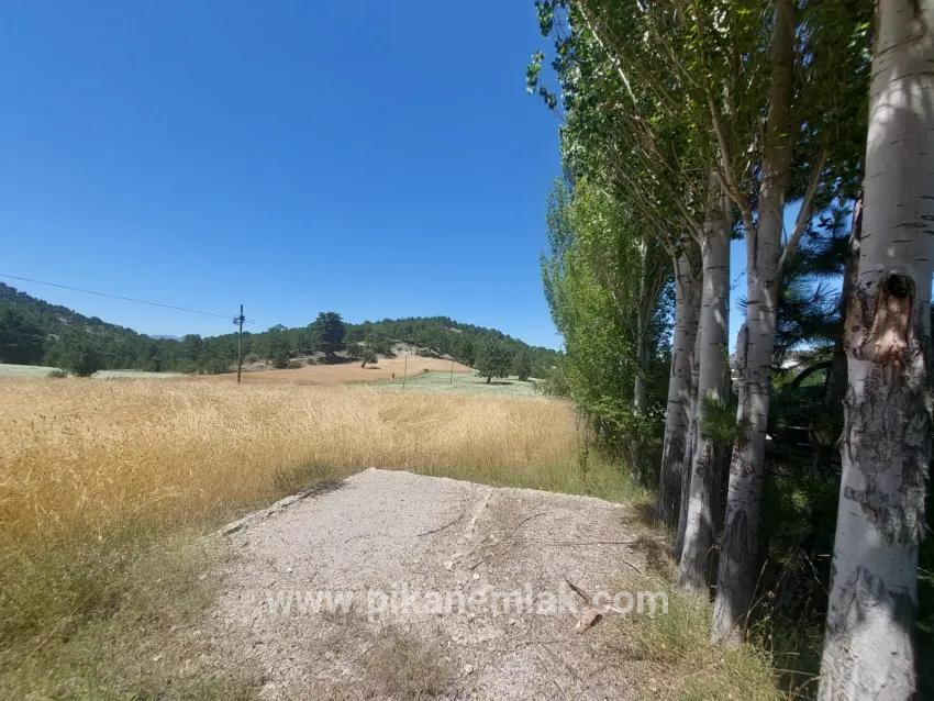 Для Продажи Земля в Cumaalanı Çameli - Под Поле застройку - 6.230 m²