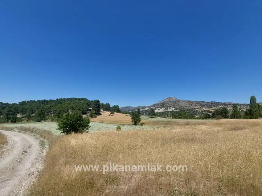 Для Продажи Земля в Cumaalanı Çameli - Под Поле застройку - 6.230 m²