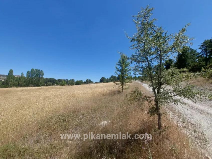 Для Продажи Земля в Cumaalanı Çameli - Под Поле застройку - 6.230 m²