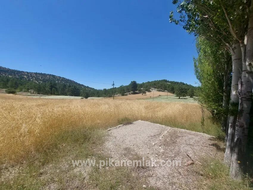 Для Продажи Земля в Cumaalanı Çameli - Под Поле застройку - 6.230 m²