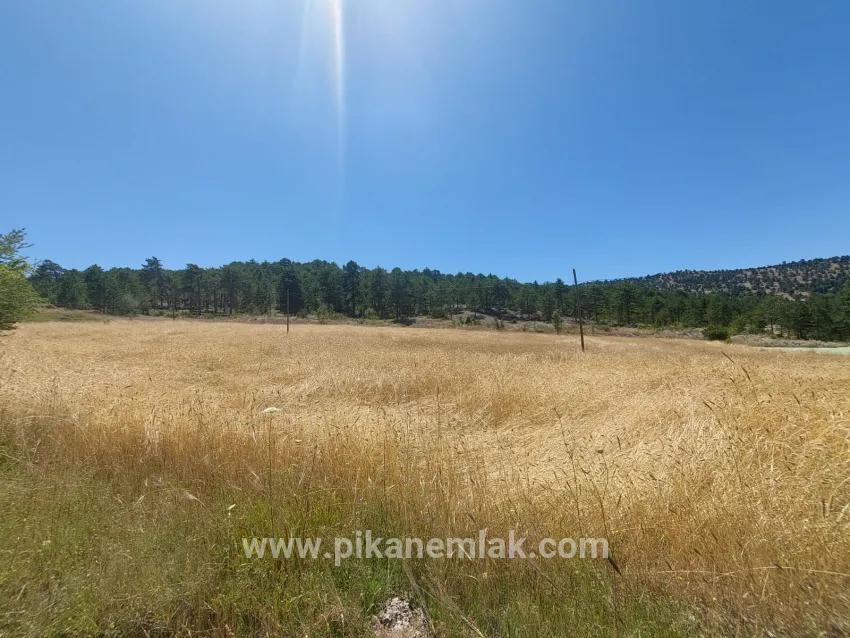 Для Продажи Земля в Cumaalanı Çameli - Под Поле застройку - 6.230 m²