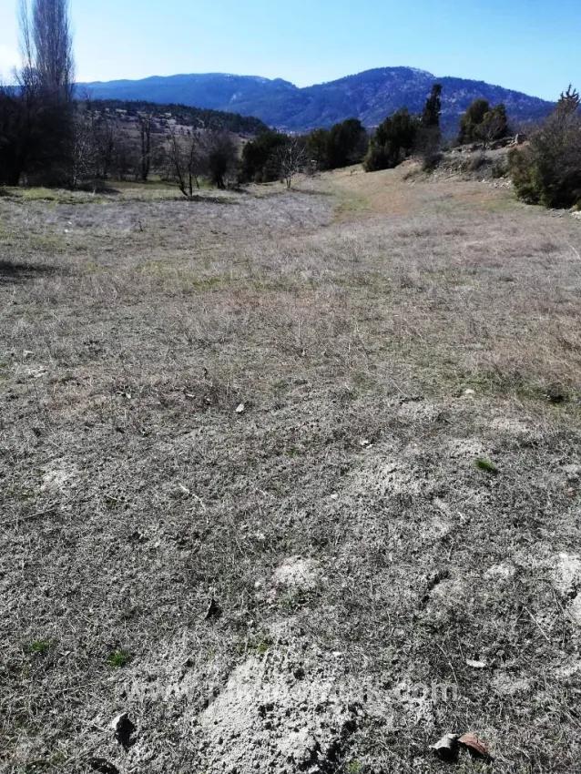 Для Продажи Земля в İmamlar Çameli - Под Поле застройку - 1.420 m²